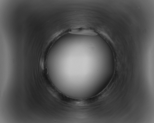 X0000083590068200703021856