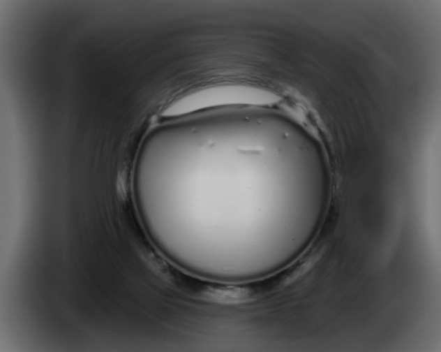 X0000083590069200703021856