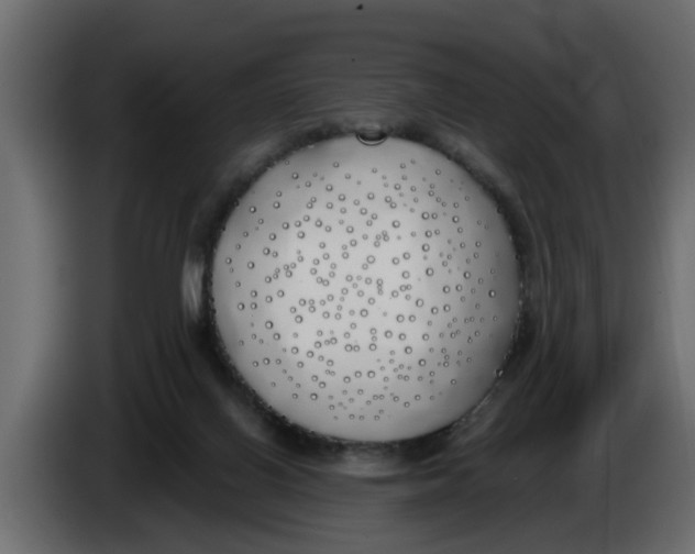 X0000083590070200703021856