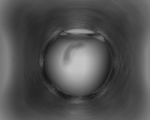 X0000083590072200703021856