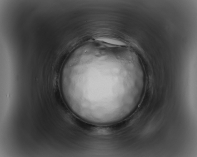 X0000083590073200703021856