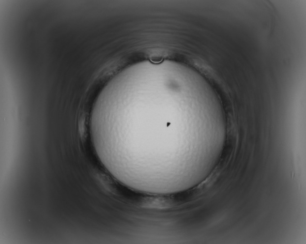 X0000083590074200703021856