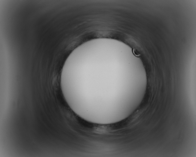 X0000083590079200703021856