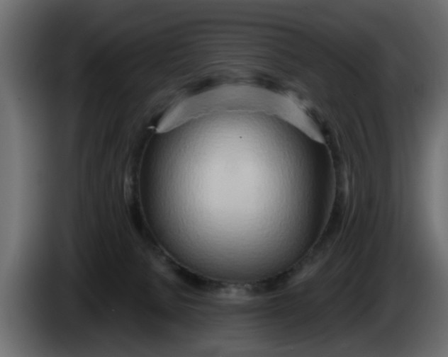 X0000083590080200703021856
