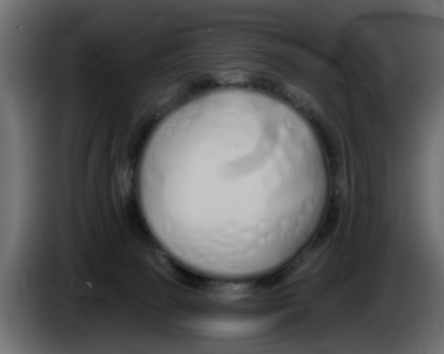 X0000083590081200703021856