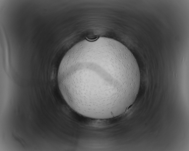 X0000083590082200703021856
