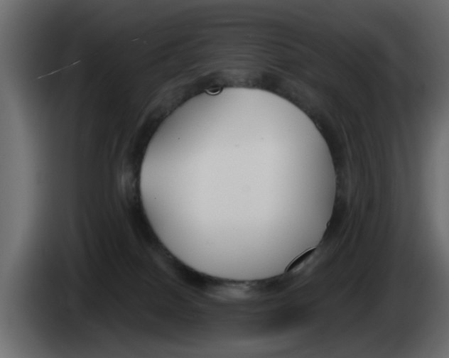 X0000083590086200703021857