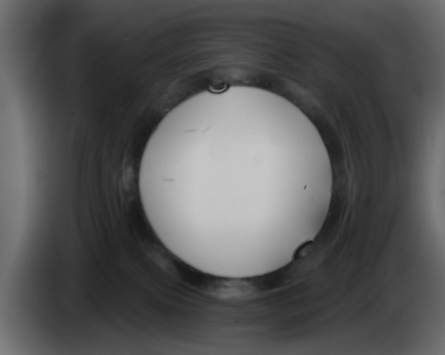 X0000083590087200703021857