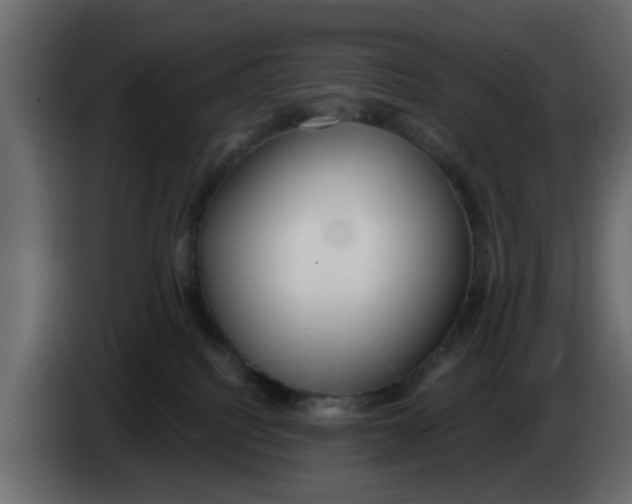 X0000083590088200703021857