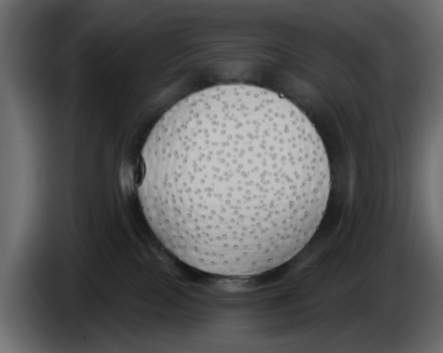X0000083590089200703021857