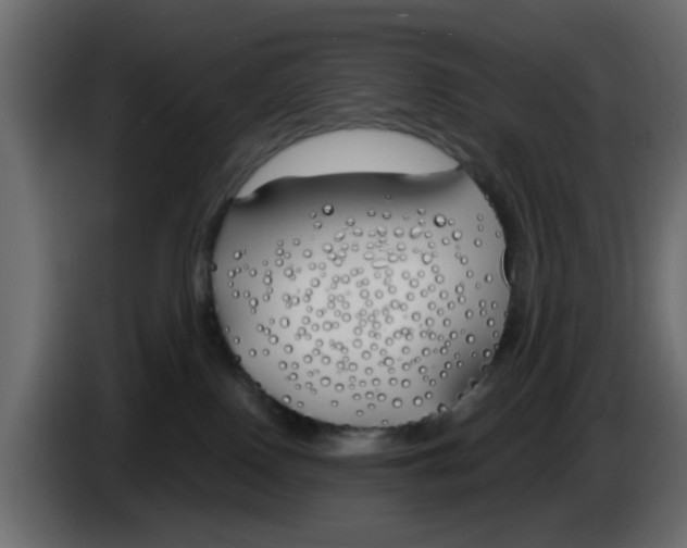 X0000083590090200703021857