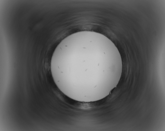 X0000083590091200703021857