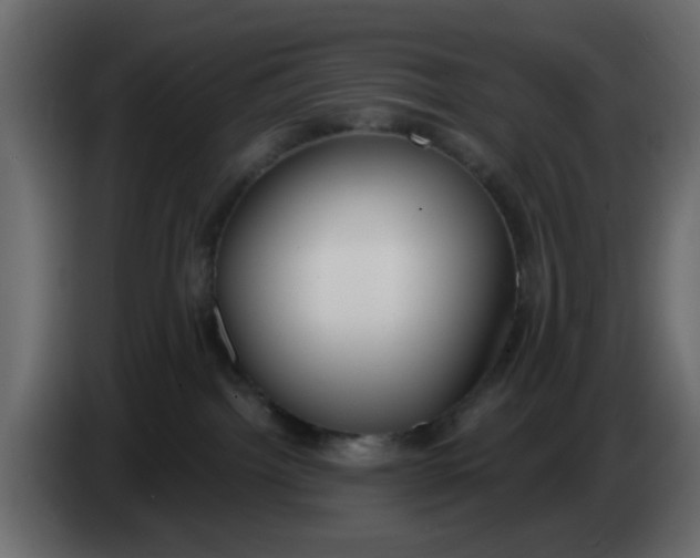 X0000083590092200703021857
