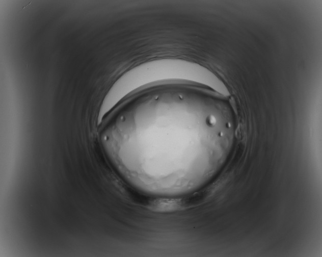 X0000083590093200703021857