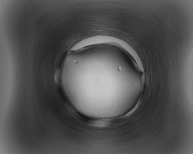 X0000083590094200703021857