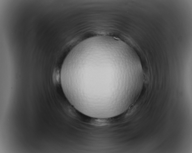 X0000083590095200703021857