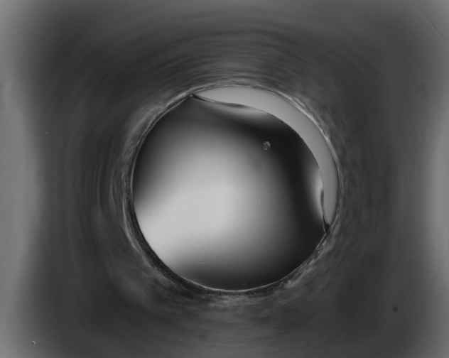 X0000083590097200703021856