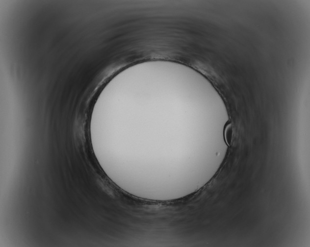 X0000083590098200703021856