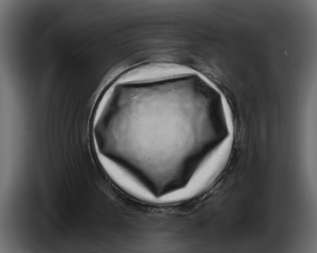 X0000083590099200703021856