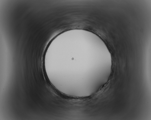 X0000083590100200703021856