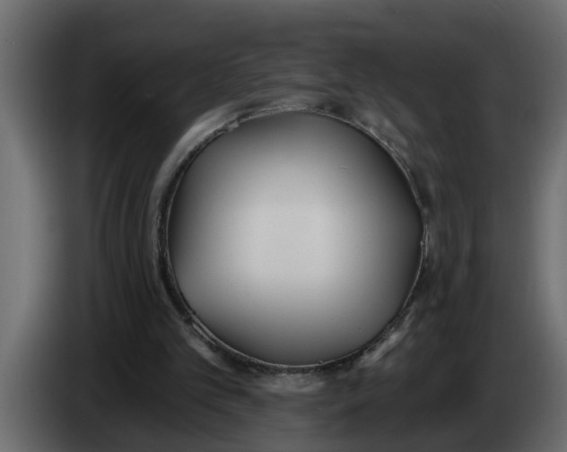 X0000083590101200703021856
