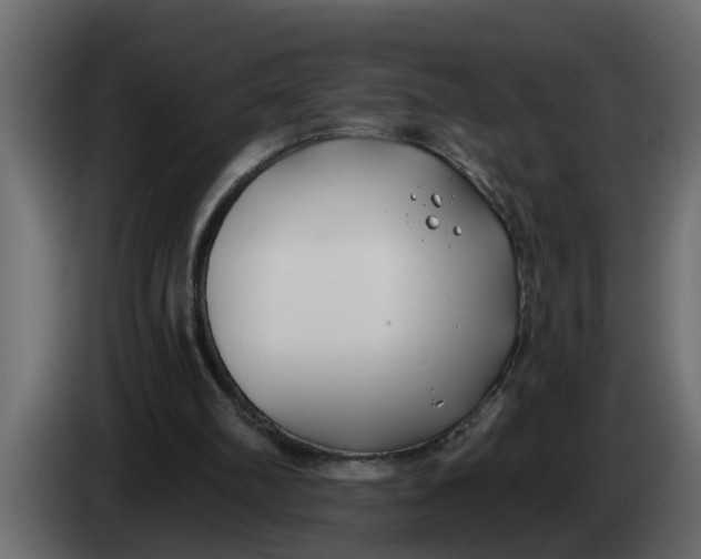 X0000083590102200703021856