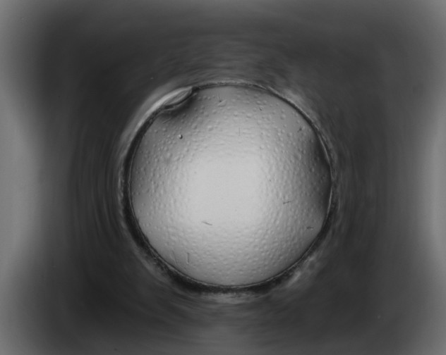 X0000083590103200703021856