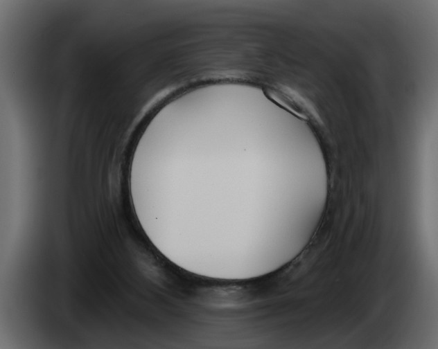 X0000083590108200703021856