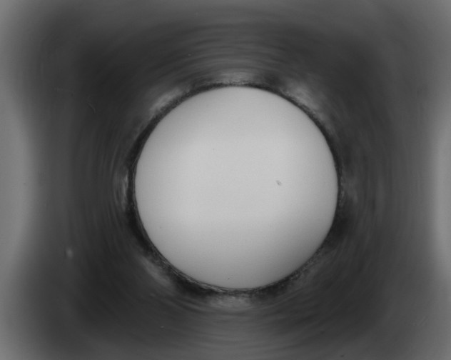 X0000083590110200703021856