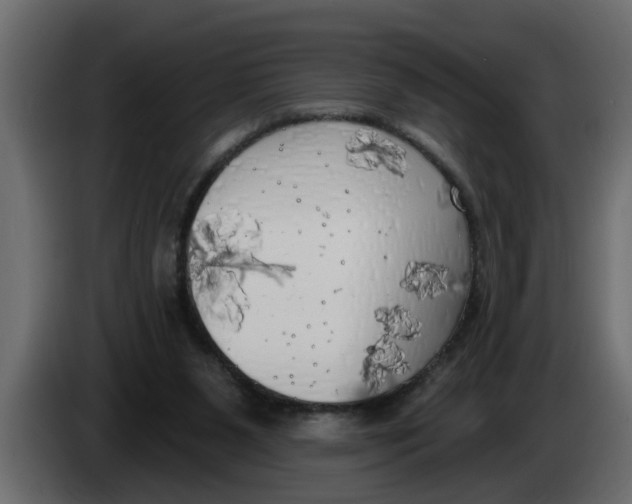 X0000083590111200703021856