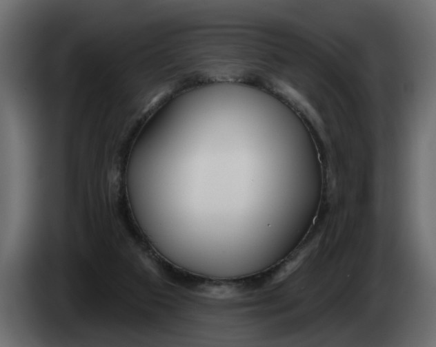 X0000083590113200703021856