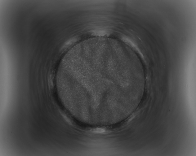 X0000083590114200703021856