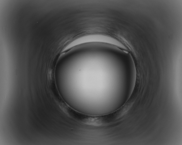 X0000083590117200703021856