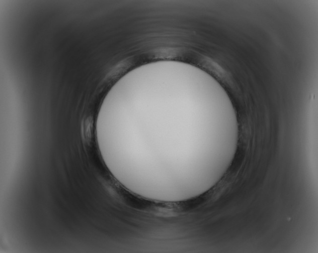 X0000083590118200703021856