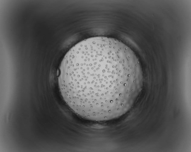 X0000083590119200703021856