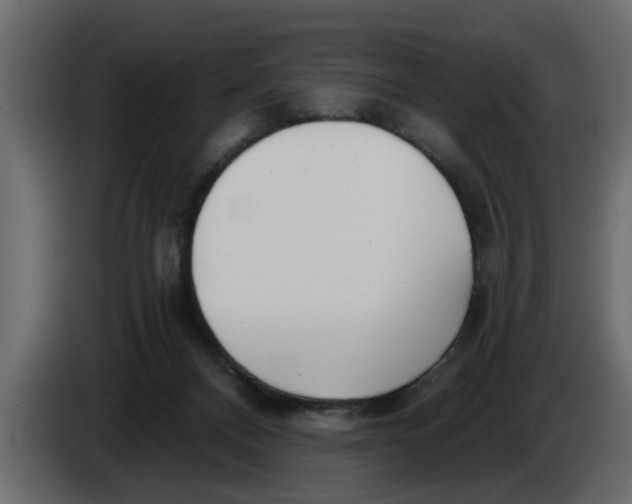 X0000083590120200703021855