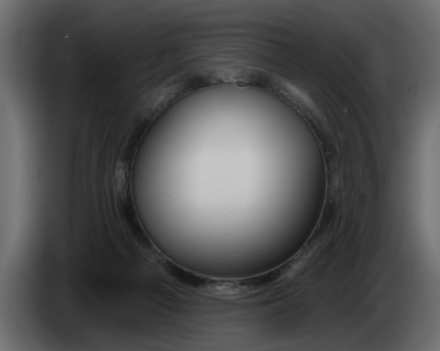 X0000083590121200703021855
