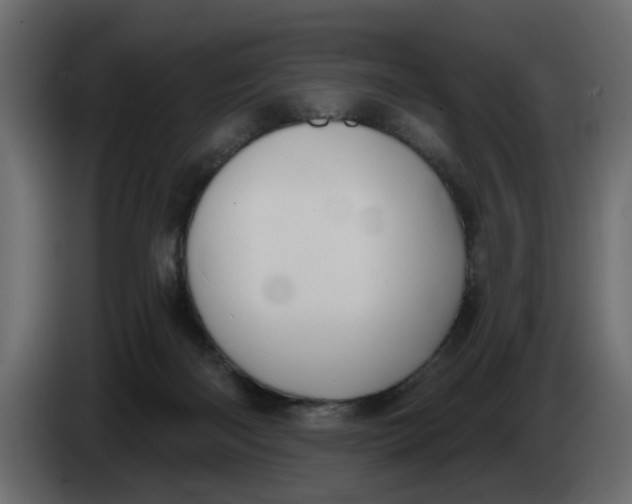 X0000083590122200703021855