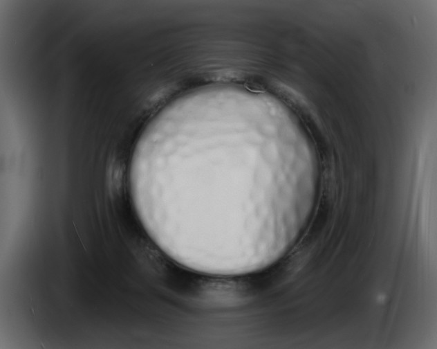 X0000083590123200703021855