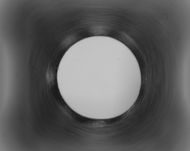X0000083590124200703021855