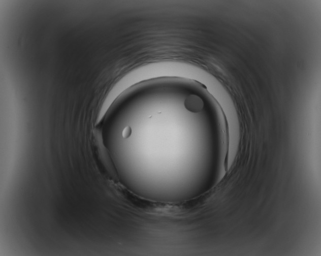 X0000083590125200703021855