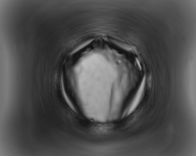 X0000083590127200703021855