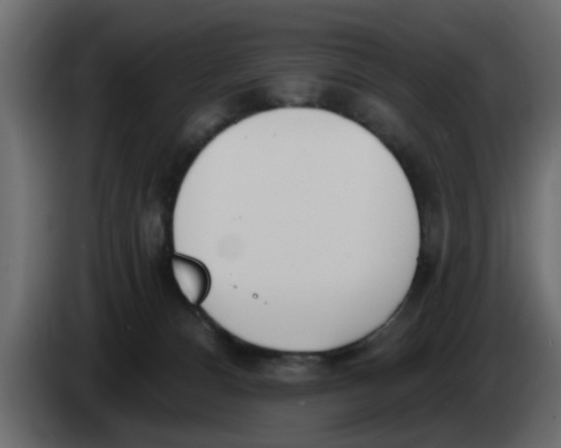 X0000083590128200703021855