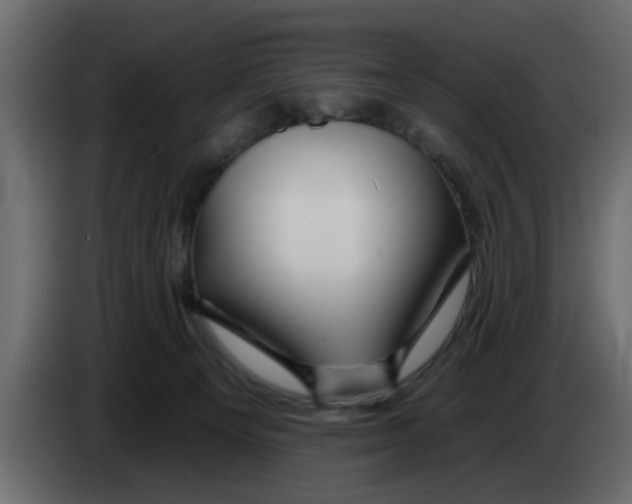 X0000083590129200703021855