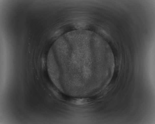 X0000083590130200703021855