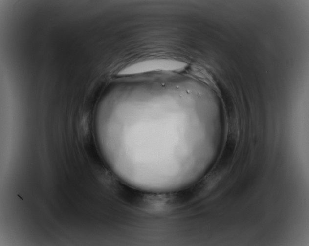 X0000083590131200703021855