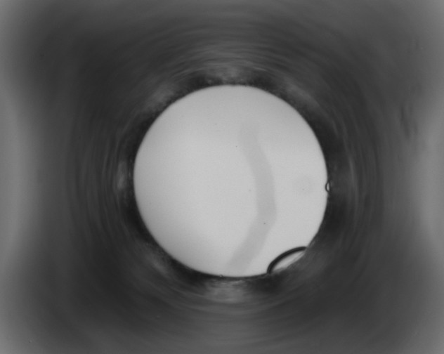 X0000083590132200703021855