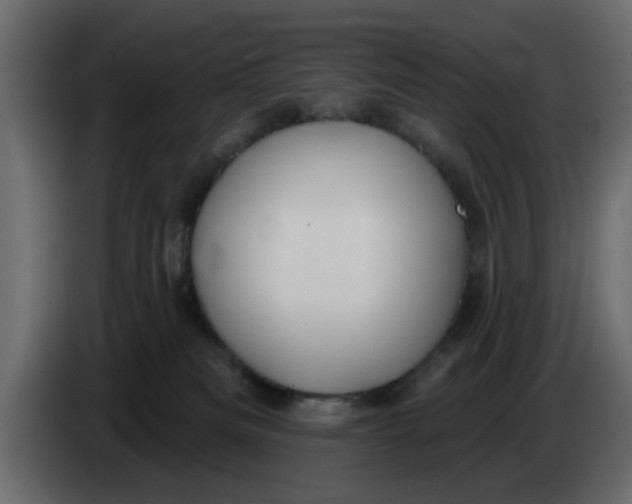 X0000083590133200703021855