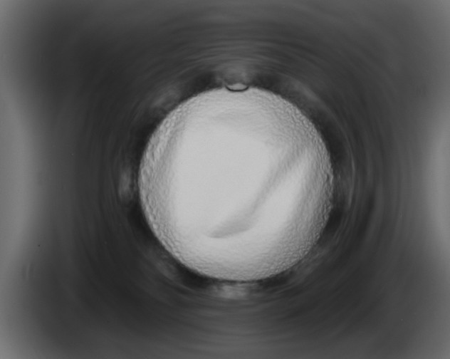 X0000083590134200703021855