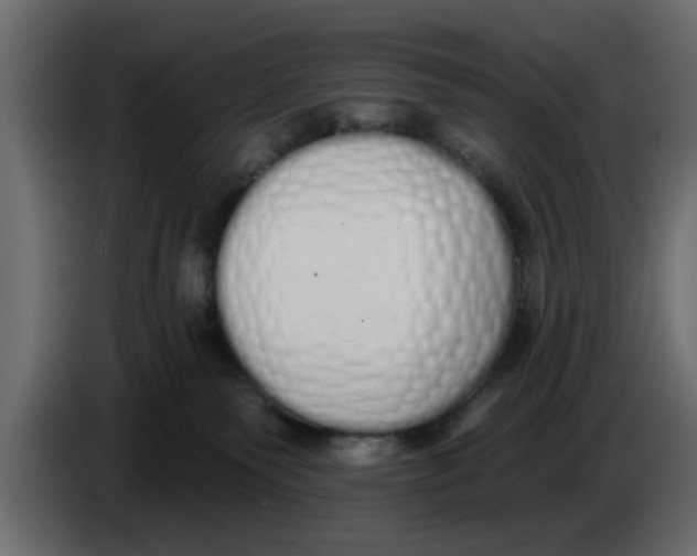 X0000083590135200703021855